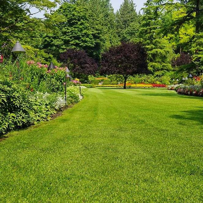 como-tener-a-punto-jardin-principales-cuidados-cesped-verano